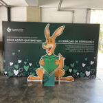 IMG 7765