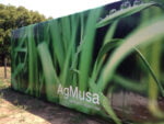 adesivo container basf 1